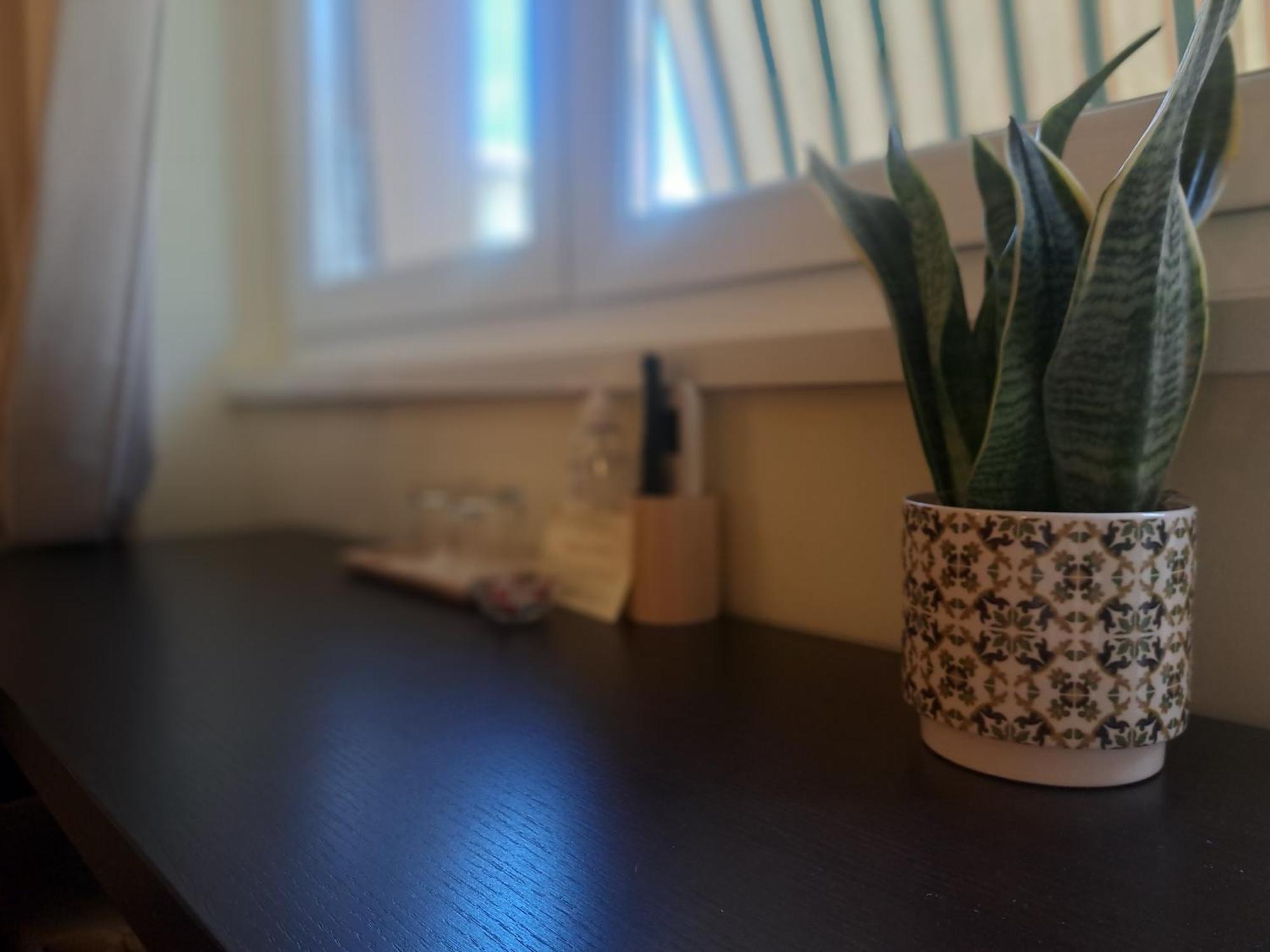 Eco B&B Marela Roma Eksteriør bilde