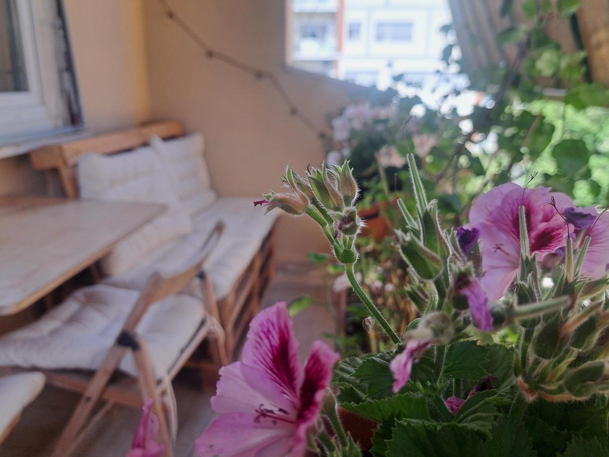 Eco B&B Marela Roma Eksteriør bilde